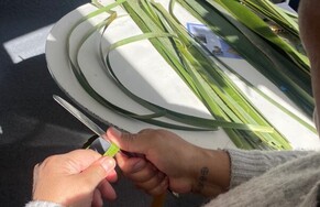 Whiria te Tangata: Weaving Creativity into the Social Fabric of Aotearoa