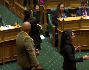 On the Suspension of Māori MPs: A Call to Challenge Colonised Systems and Uplift Our Young People