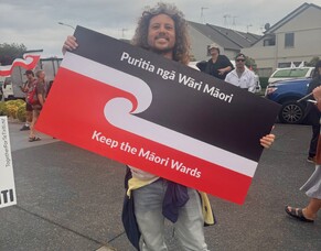 Standing for Fair Representation