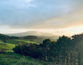 Behind the Scenes: How We Built the New Len Reynolds Trust Strategy