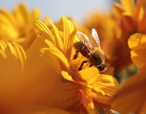 Profit improvement and productivity