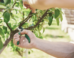 July Winter Newsletter