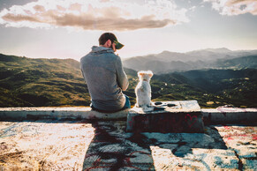 Passing your problems onto your pets