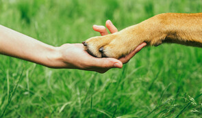 REIKI