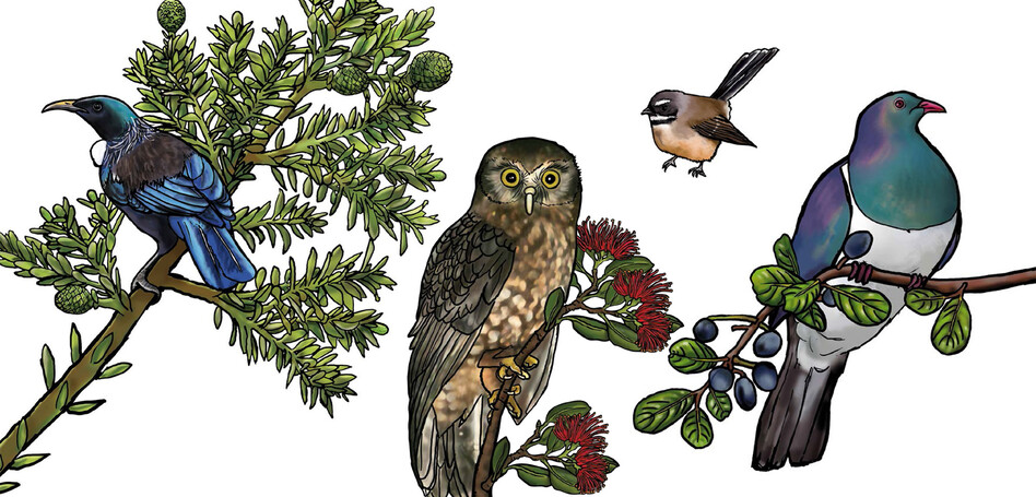 AUCKLAND CITY COUNCIL - DETAIL FROM STREAM ILLUSTRATIONS