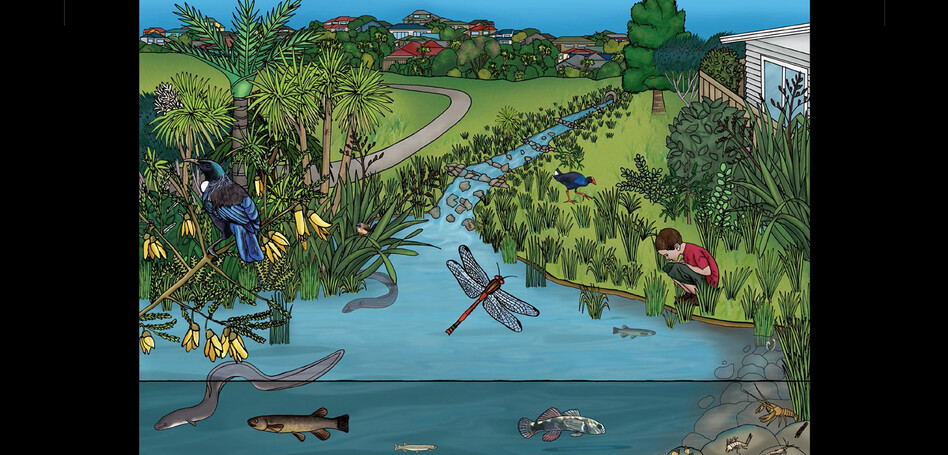 AUCKLAND CITY COUNCIL - STREAM ILLUSTRATION PLAQUE