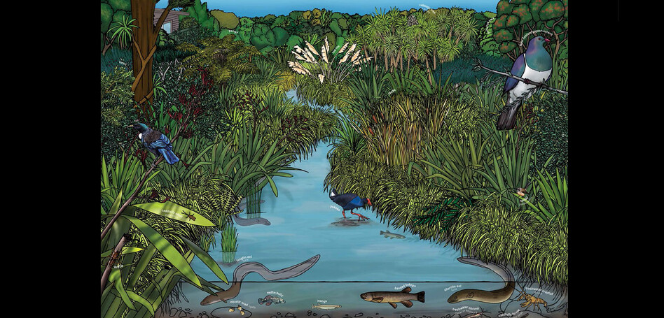 AUCKLAND CITY COUNCIL - STREAM ILLUSTRATION PLAQUE