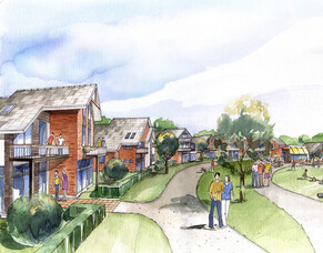 Where are all the experts?