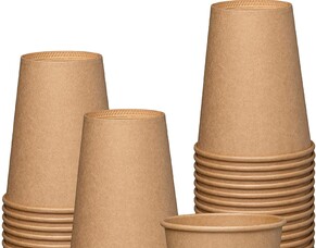 Is your conference sustainable?