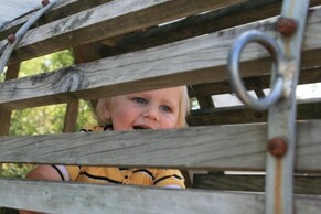 Co-regulation Explained