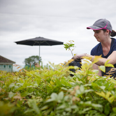 Contact Hodderville Plant Nursery for all your plant needs