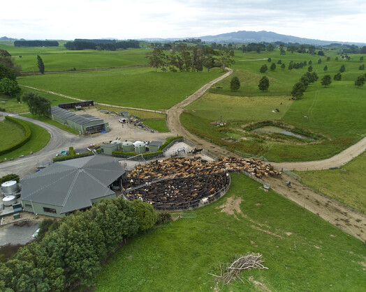 At Hodderville Farms we embrace the concept of circular economy