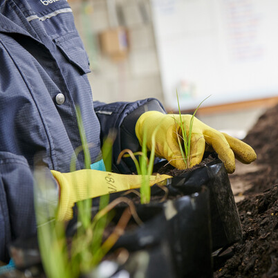 Hodderville Plant Nursery for all your gardening needs
