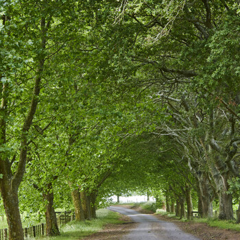 Hodderville Farms in South Waikato