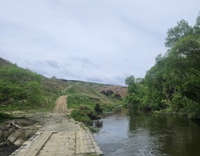 Abundance of life on the Owahanga River