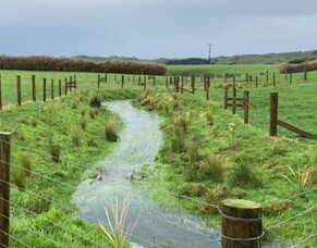Riparian planting on your farm