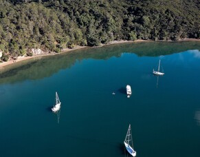 AYBA Winter Newsletter 2025