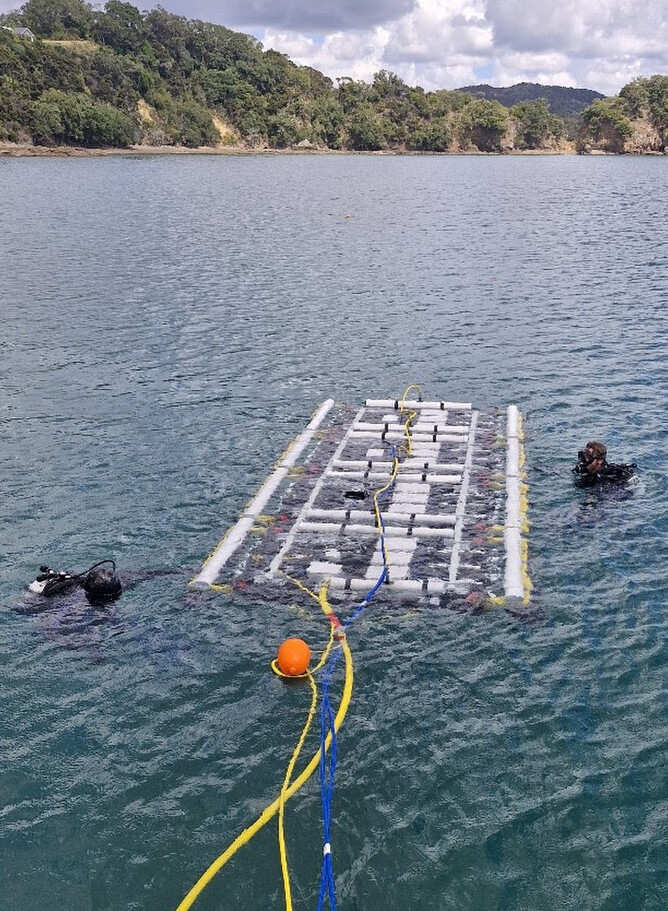 Advanced Aquarium Technologies Ltd test the UV-C treatment panels in the waters of Omakiwi Cove, Bay of Islands