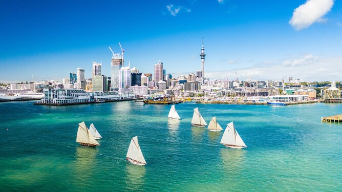Classics sailing in Auckland. Photo credit: Suellen Hurling, Live Sail Die
