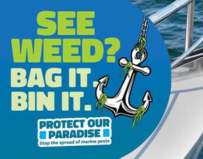 Exotic Caulerpa Response Update - August 2025