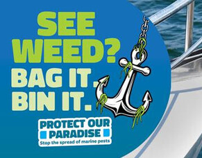 Exotic Caulerpa Response Update - May 2025