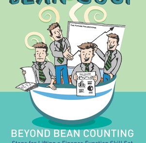 Source of this article is: "Bean Soup - Beyond Bean Counting. Steps for Lifting a Finance Function Skill Set towards Adding Value." Stuart Bilbrough. 2013. SP.