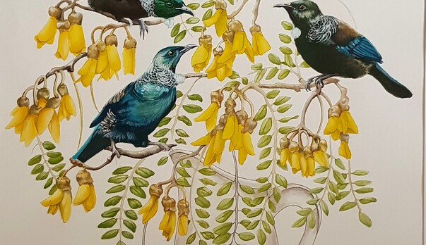 From the Permanent Collection II