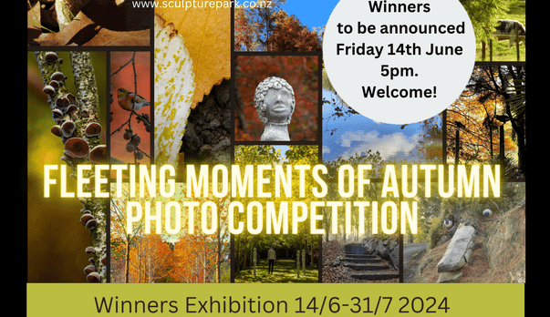 Fleeting Moments of Autumn