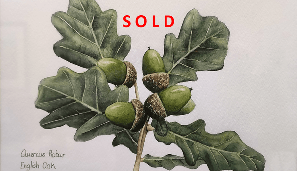 SOLD!