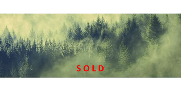 SOLD!