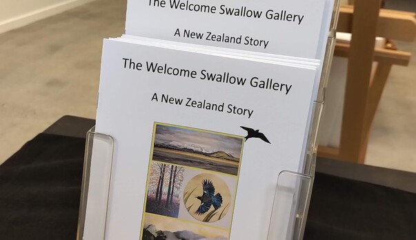 A New Zealand Story
