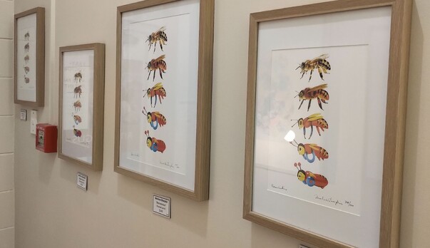 &#039;Beevolution&#039;