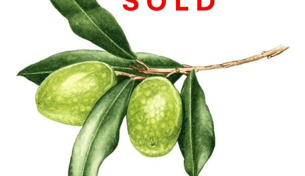 SOLD!