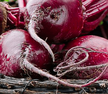 Beetroot Yoghurt Dip
