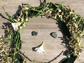 NATURE PORTRAITS Y1/2