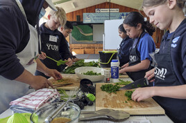 Garden to Table 2020