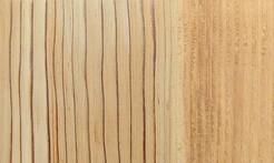 Rarefind Timber - Deodar Cedar