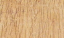 Rarefind Timber - Holm Oak