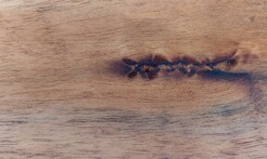 Rarefind Timber - Australian Blackwood