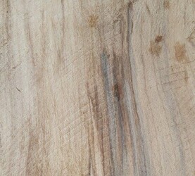 Rarefind Timber - Sycamore