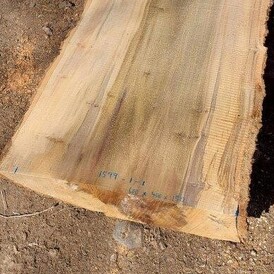 Tulip Slab 500x150 at Rarefind Timber