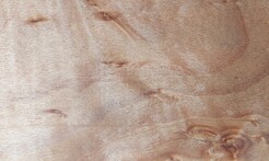 Rarefind Timber - European Beech