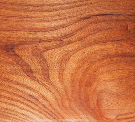 Rarefind Timber - Elm