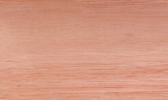 Rarefind Timber - Saligna