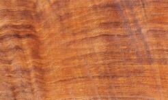 Rarefind Timber - Black Walnut