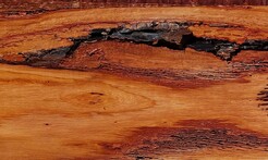 Rarefind Timber - Keno Gum