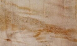 Rarefind Timber - Lombardy Poplar