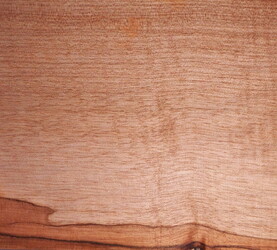 Rarefind Timber - Taraire