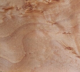 Rarefind Timber - European Beech