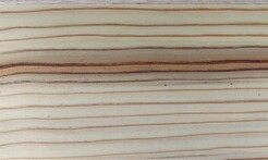 Rarefind Timber - Deodar Cedar